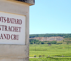 Montrachet signpost.JPG